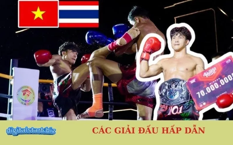 Các Giải Đấu Hấp Dẫn