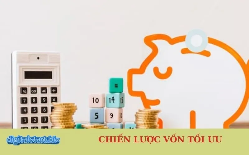 _Chiến lược vốn tối ưu