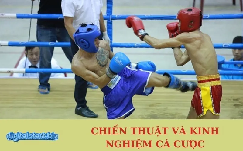 Chiến Thuật Và Kinh Nghiệm Cá Cược