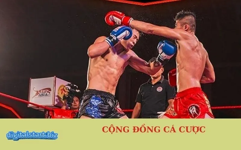 Cộng Đồng Cá Cược