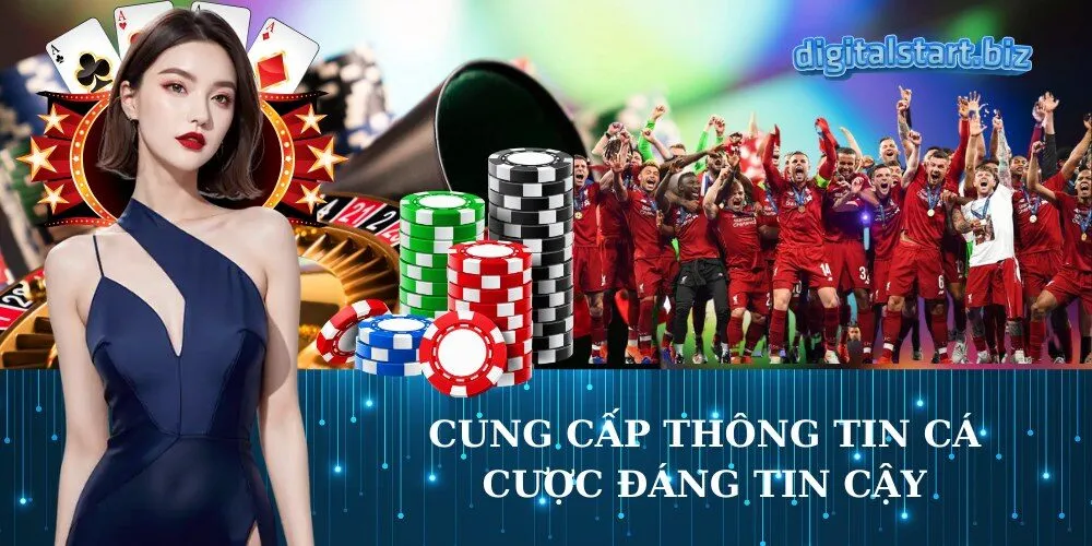 cung cấp thông tin cá cược đáng tin cậy