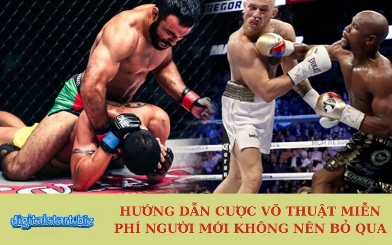 Hướng Dẫn Cược Võ Thuật Miễn Phí Người Mới Không Nên Bỏ Qua