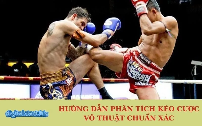 Hướng Dẫn Phân Tích Kèo Cược Võ Thuật Chuẩn Xác