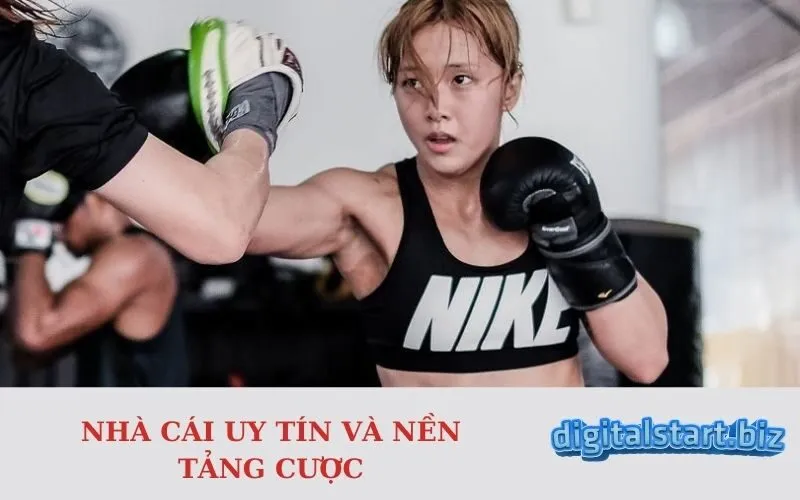 Nhà cái uy tín và nền tảng cược