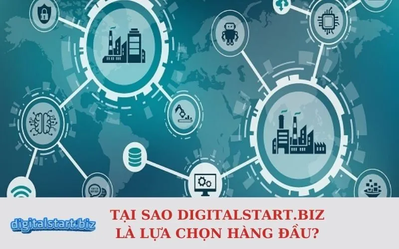 Tại Sao digitalstart.biz Là Lựa Chọn Hàng Đầu