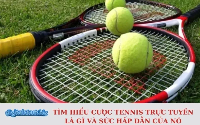 Tìm Hiểu Cược Tennis Trực Tuyến Là Gì và Sức Hấp Dẫn Của Nó