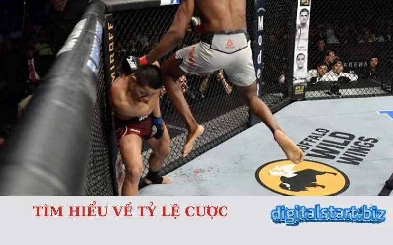 Tìm Hiểu Về Tỷ Lệ Cược 