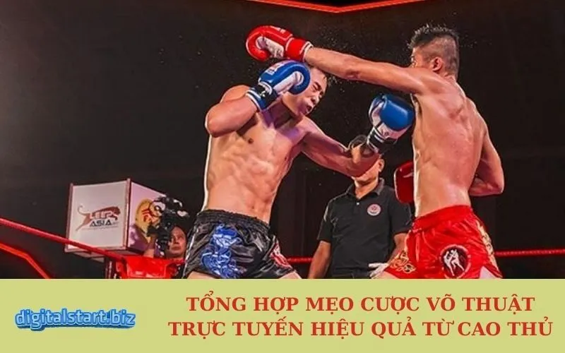 Tổng Hợp Mẹo Cược Võ Thuật Trực Tuyến Hiệu Quả Từ Cao Thủ