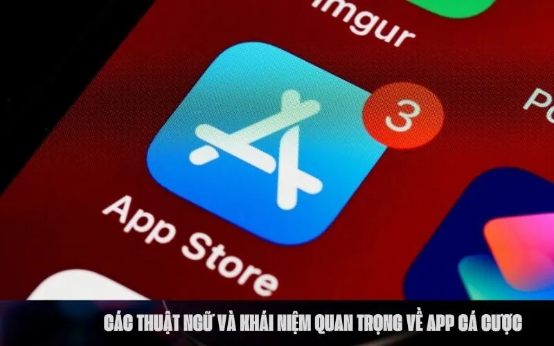 Các Thuật Ngữ và Khái Niệm Quan Trọng Về App Cá Cược