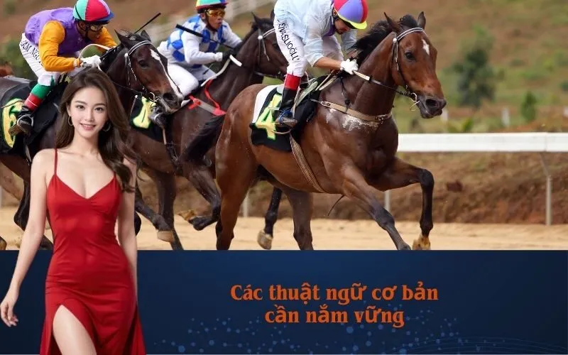 Các thuật ngữ cơ bản cần nắm vững