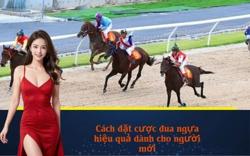 Cách đặt cược đua ngựa hiệu quả dành cho người mới